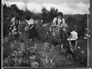 My friends are picking flowers - Salvador Gómez Jiménez